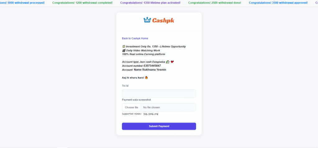 Screenshot from CashPK.pro showing a basic payment submission form with no course or platform details.